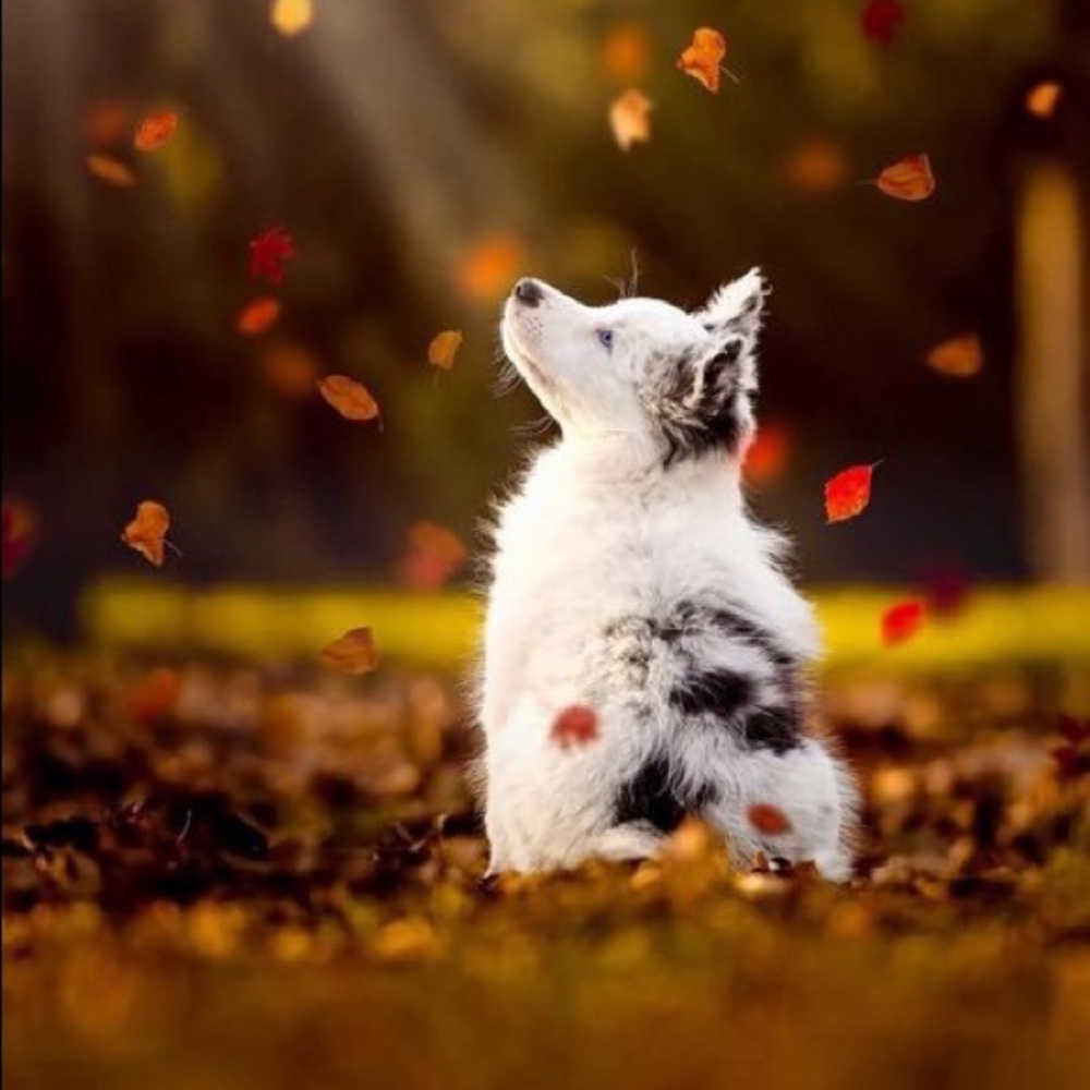 Meet your Posher, Ann